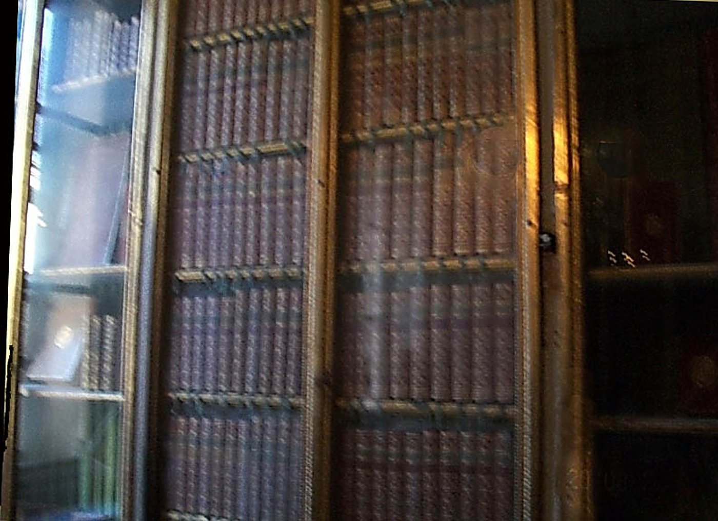 Une bibliothèque ancienne aux portes dorées grillagées renferme des rangées de livres reliés en cuir, avec une vitrine sur la gauche.